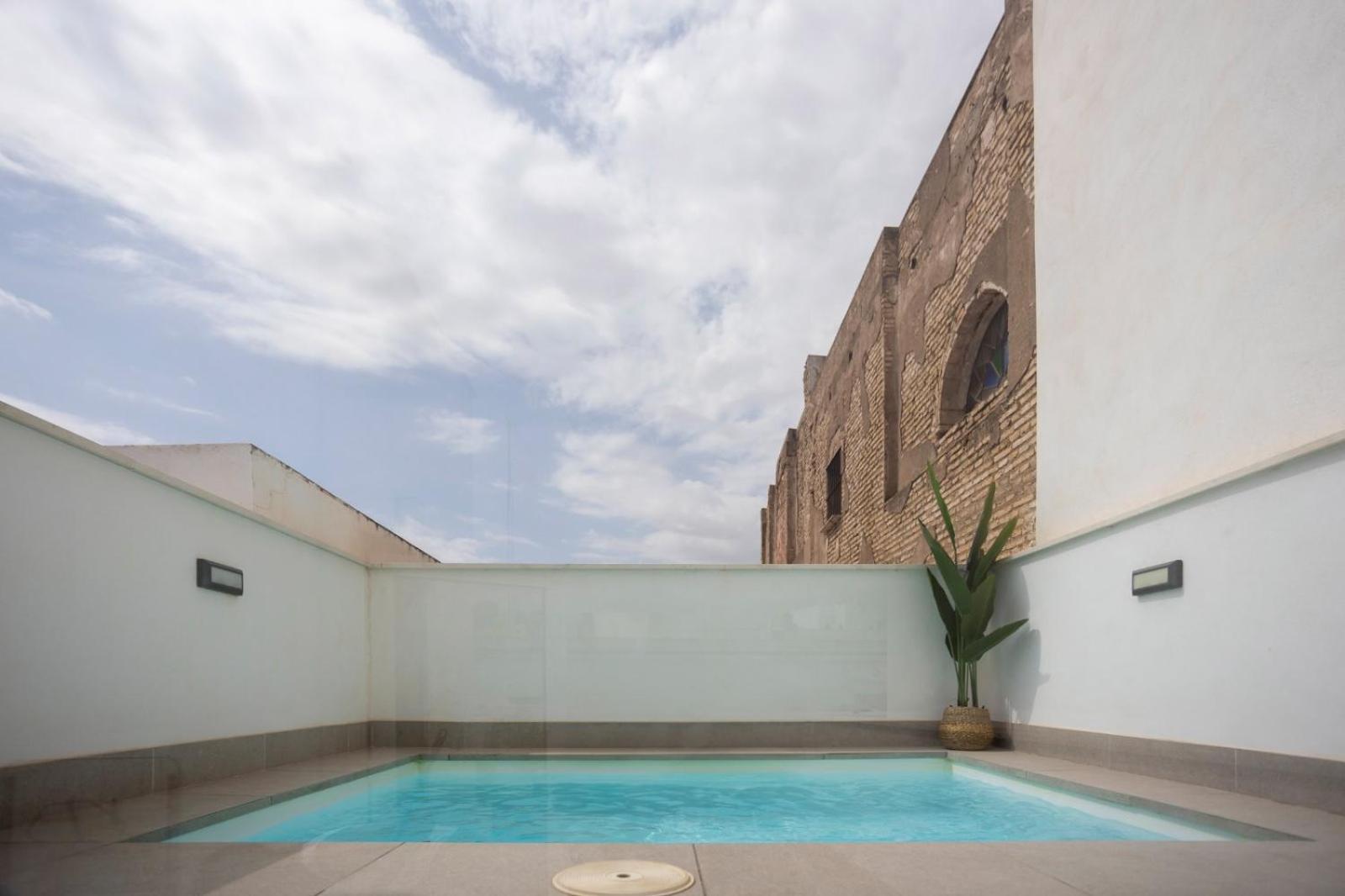 Private & Pool Goyeneta Sevilla Urban Apartment Zewnętrze zdjęcie